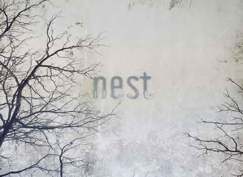 NEST